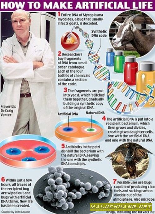 世界首例人造生命诞生 反对者称打开潘多拉魔盒